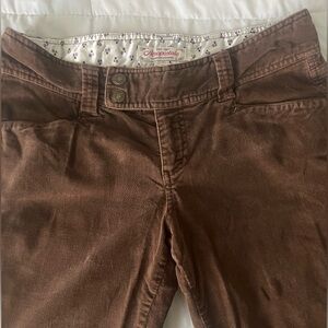 Aeropostale Chocolate Corduroy Trousers